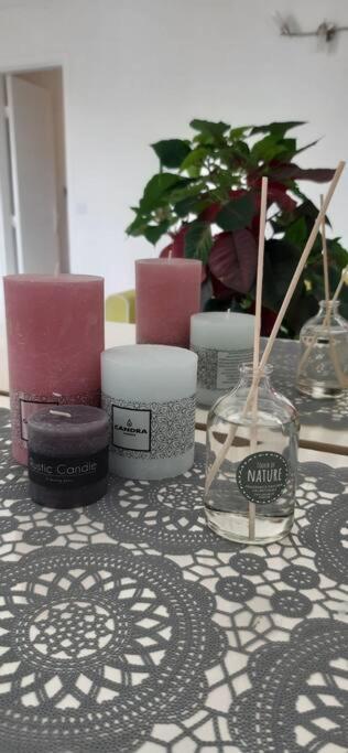 Appartamento Cosy A Nizza